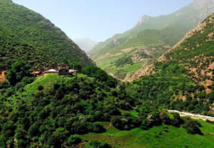 جنگل دوهزار و سه هزار bartarinhair 9